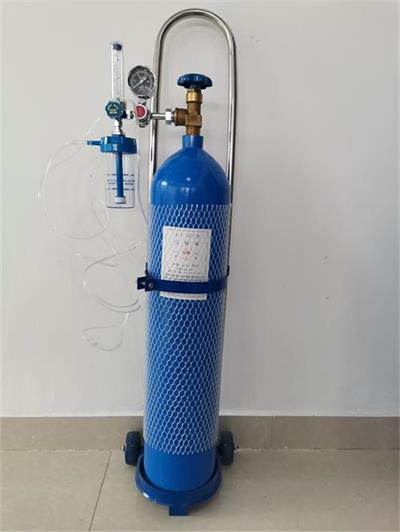 10L